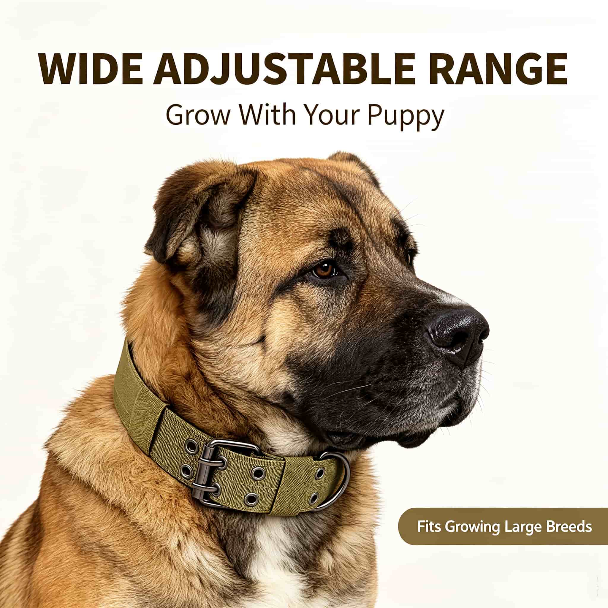 Outdoor Hunting Dog Collar - Kalung Anjing Taktis Camo, Bahan Nylon