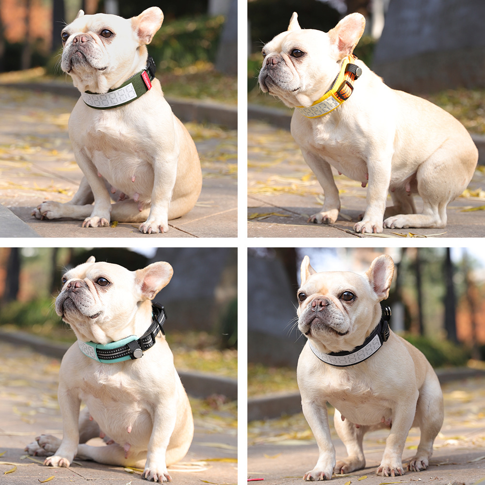 Outdoor Hunting Dog Collar - Kalung Anjing Reflektif untuk Anjing Besar,