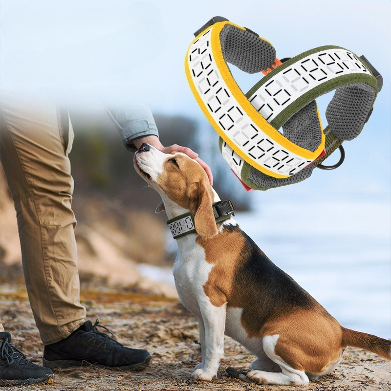 Kalung Anjing Reflektif untuk  - Outdoor Hunting Dog Collar ulasan dan harga