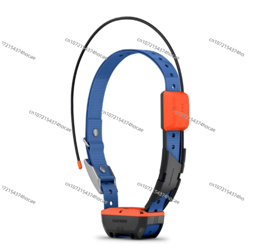 Alat pelacak hewan peliharaan  - Outdoor Hunting Dog Collar ulasan dan harga