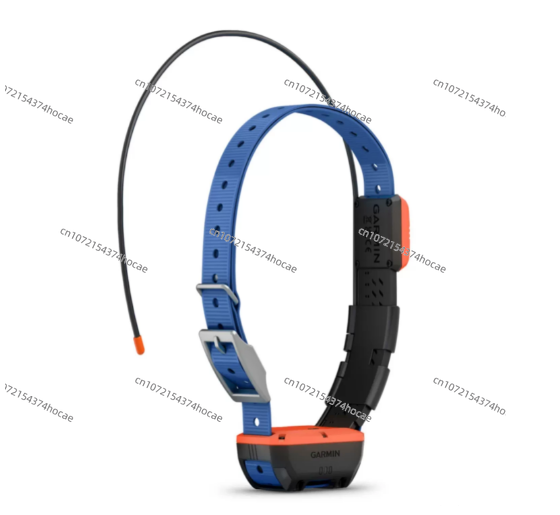 Alat pelacak hewan peliharaan  - Outdoor Hunting Dog Collar ulasan dan harga
