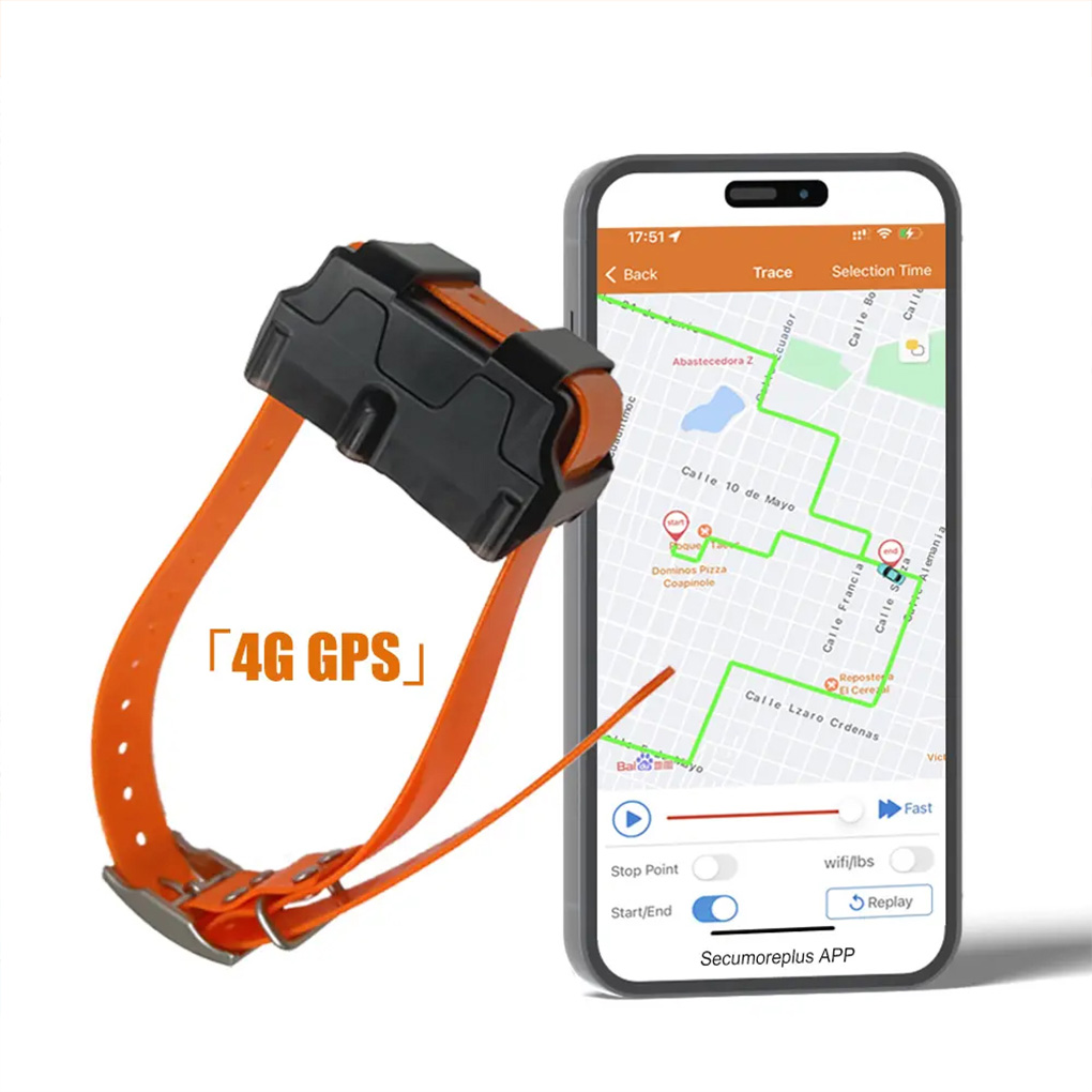 Pelacak GPS Hewan Peliharaan P - Outdoor Hunting Dog Collar ulasan dan harga