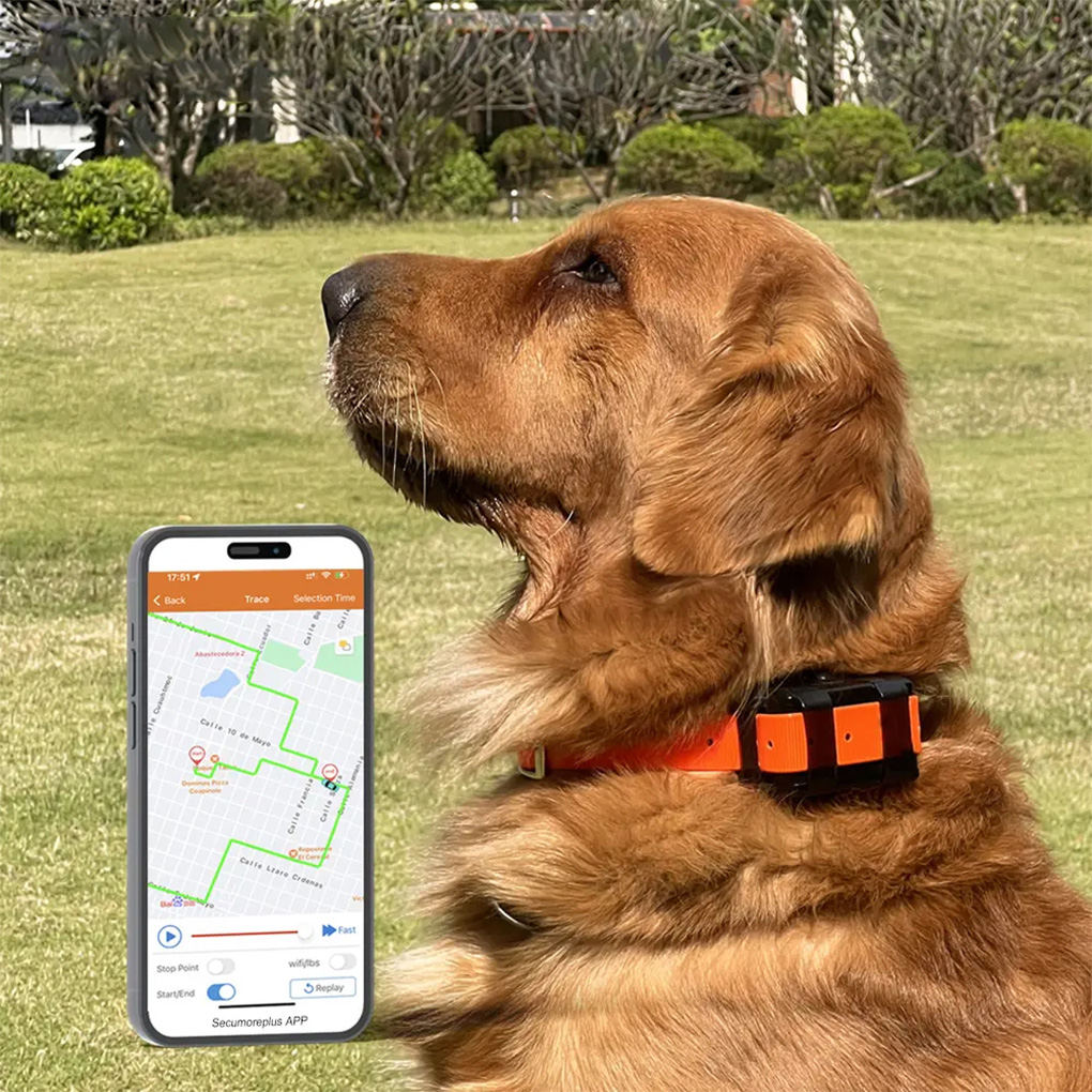 Pelacak GPS Hewan Peliharaan P - Outdoor Hunting Dog Collar ulasan dan harga
