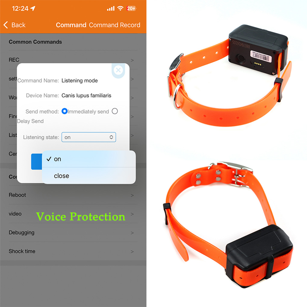 Pelacak GPS Hewan Peliharaan P - Outdoor Hunting Dog Collar ulasan dan harga