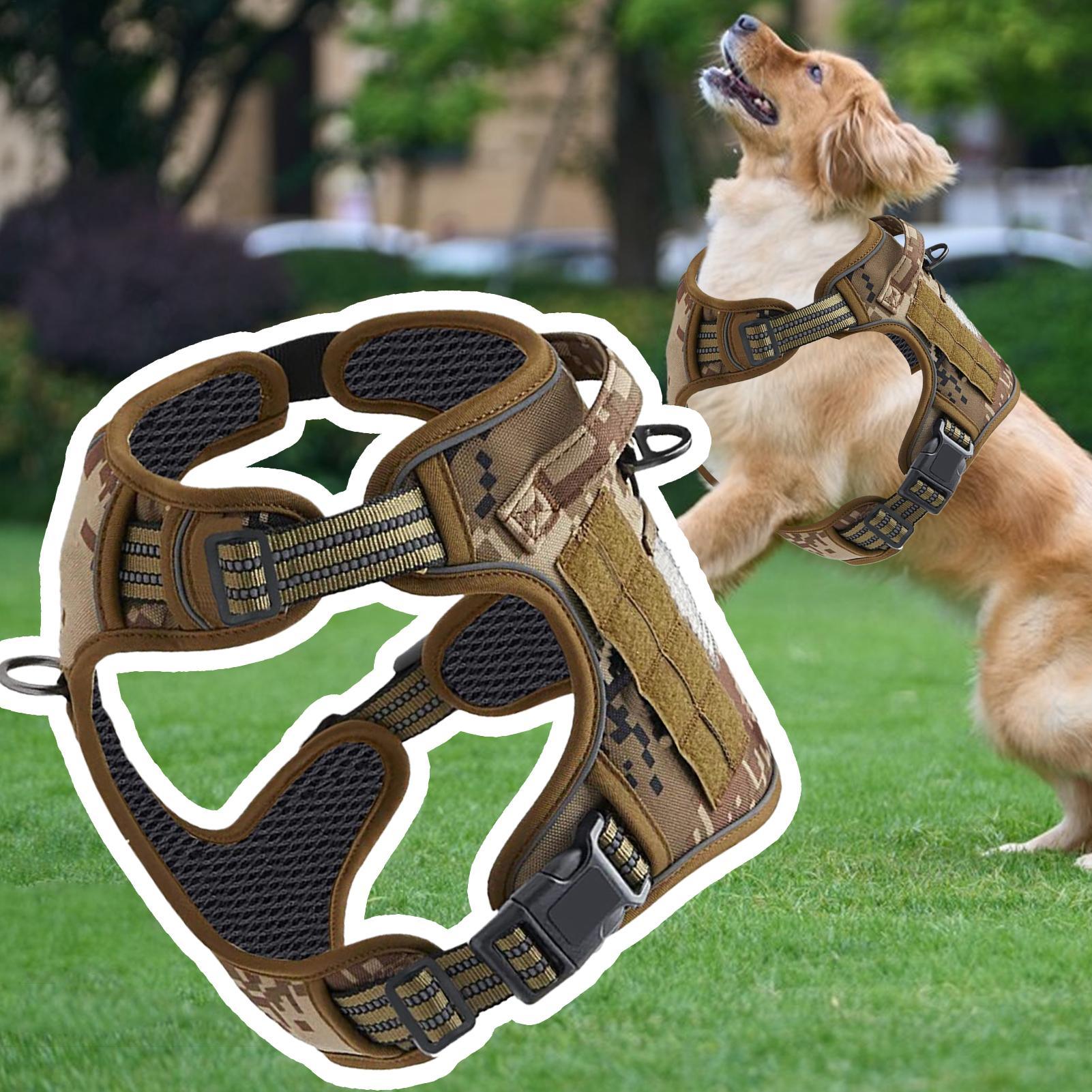 Harness Anjing Heavy Duty Anti - Outdoor Hunting Dog Collar ulasan dan harga