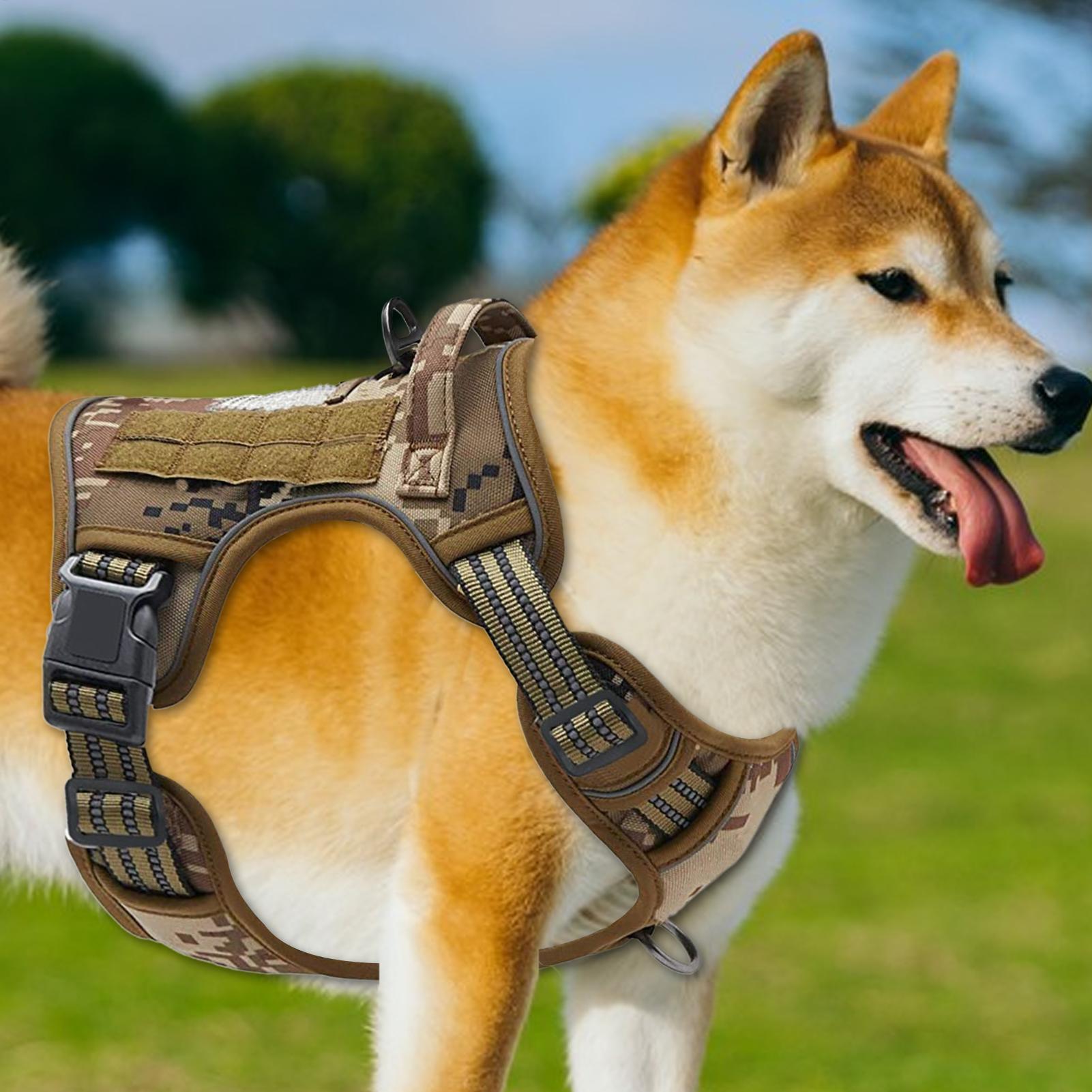 Harness Anjing Heavy Duty Anti - Outdoor Hunting Dog Collar ulasan dan harga
