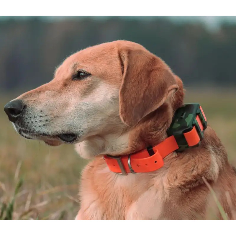 Pelacak GPS 4G ICAR IK122M 200 - Outdoor Hunting Dog Collar ulasan dan harga