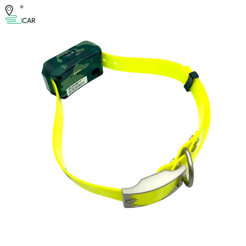 Pelacak GPS 4G ICAR IK122M 200 - Outdoor Hunting Dog Collar ulasan dan harga