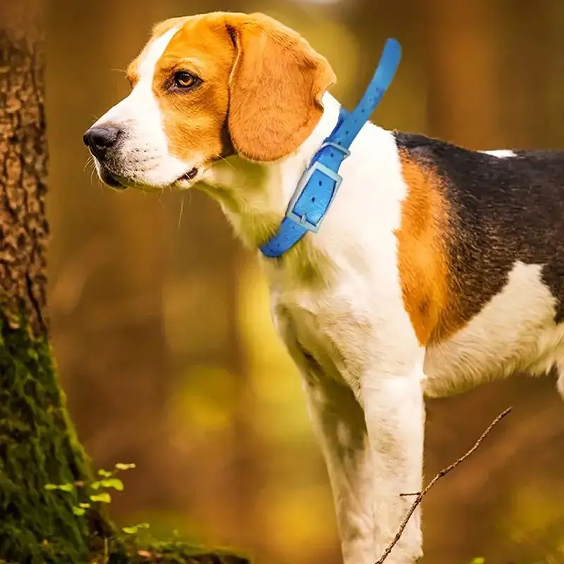 Kalung Anjing TPU untuk Keaman - Outdoor Hunting Dog Collar ulasan dan harga