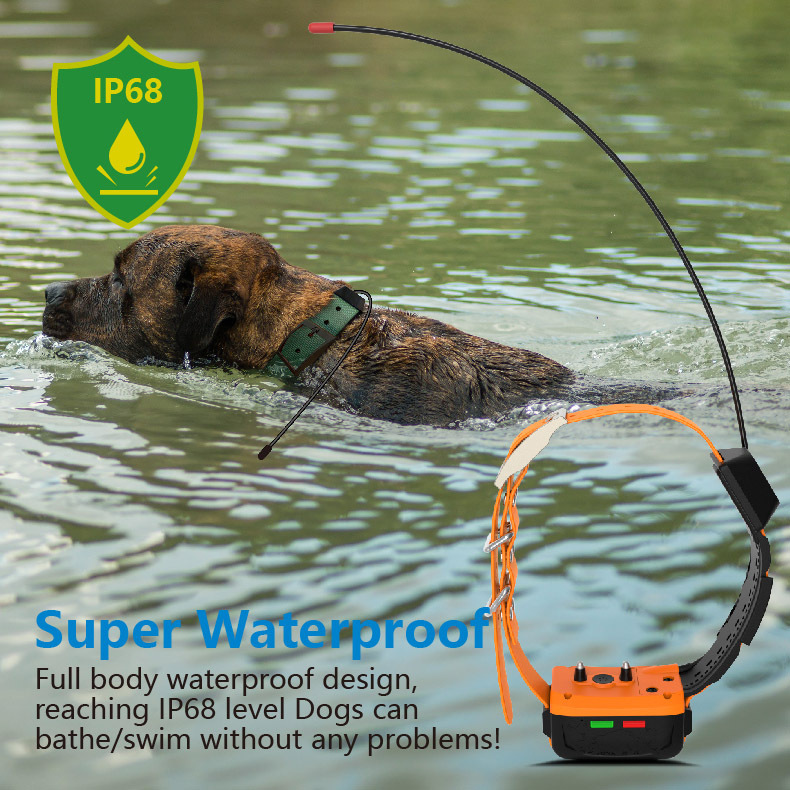 Kalung Anjing GPS 4G Grosir da - Outdoor Hunting Dog Collar ulasan dan harga