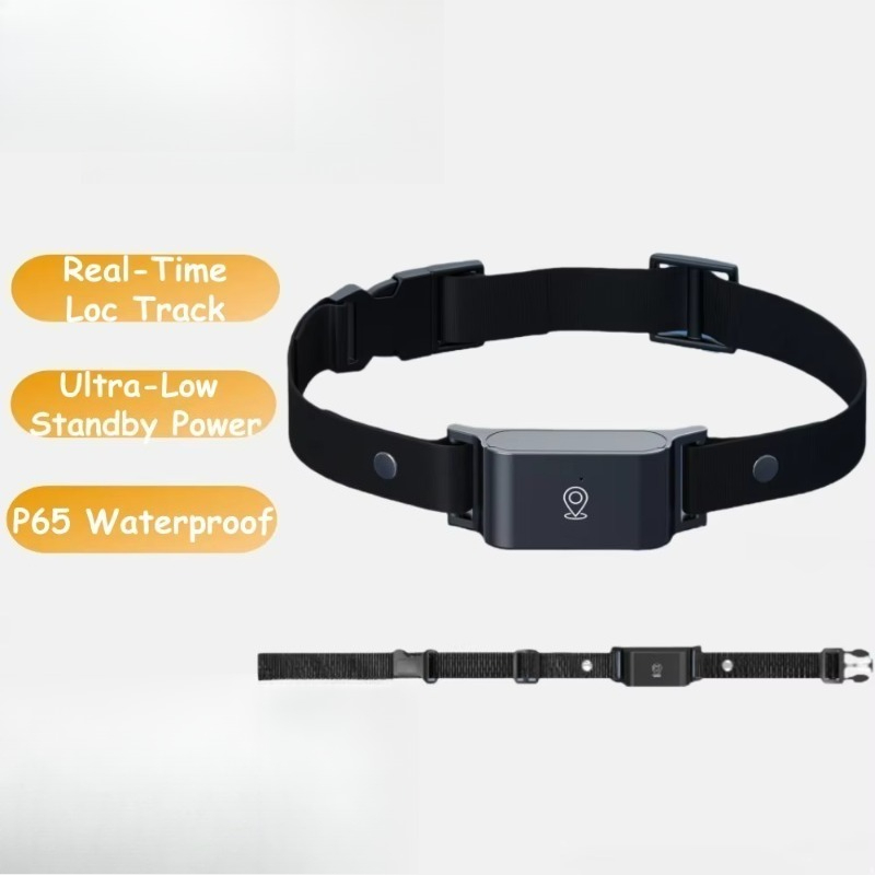 Pelacak GPS Anjing untuk Kegia - Outdoor Hunting Dog Collar ulasan dan harga