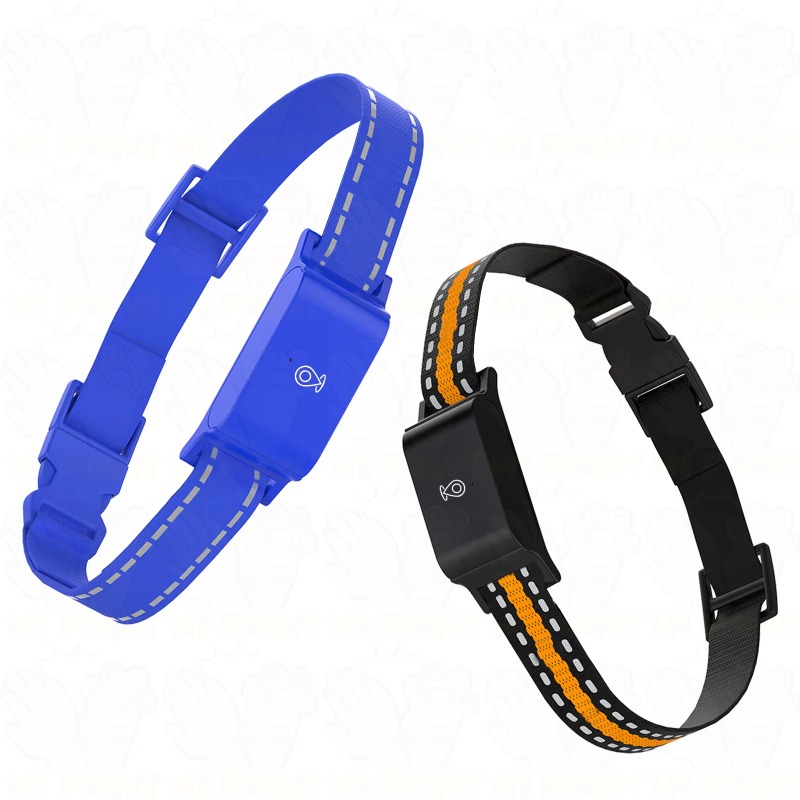 Pelacak GPS Anjing untuk Kegia - Outdoor Hunting Dog Collar ulasan dan harga
