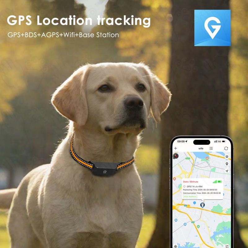 Pelacak GPS Anjing untuk Kegia - Outdoor Hunting Dog Collar ulasan dan harga