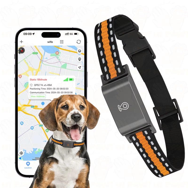 Pelacak GPS Anjing untuk Kegia - Outdoor Hunting Dog Collar ulasan dan harga